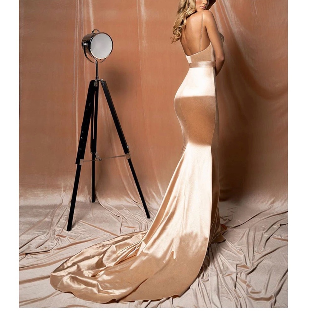 Albina Dyla corset mermaid dress.
